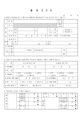 출생신고서2 출생신고서2